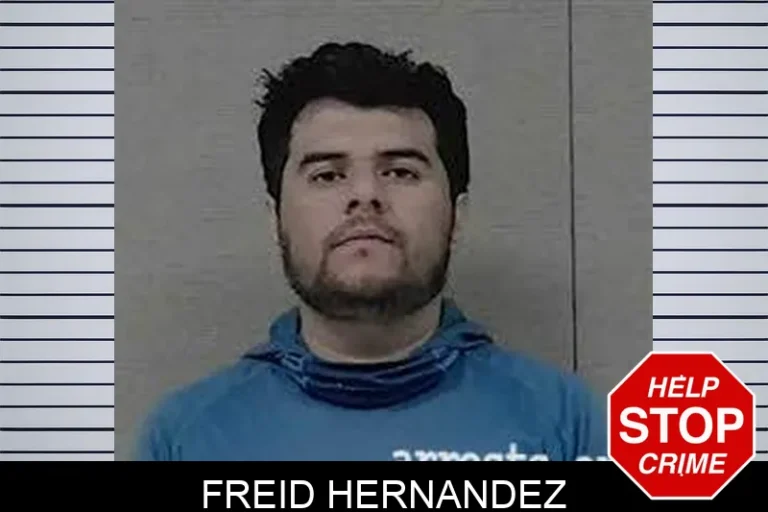 Freid Hernandez