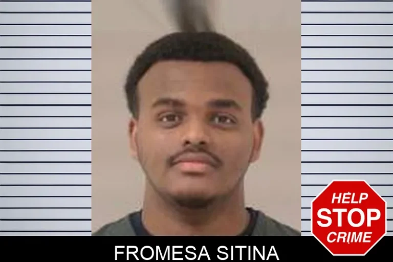 Fromesa Sitina