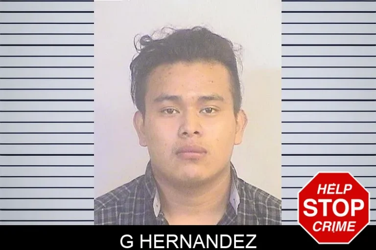 G Hernandez