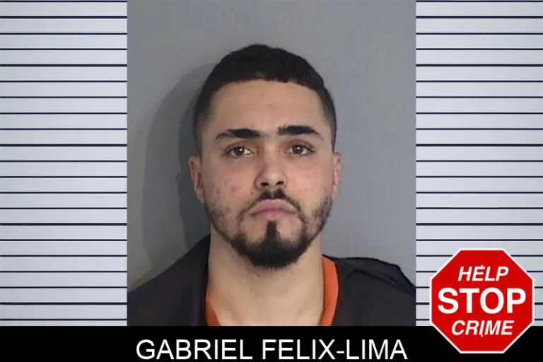 Gabriel Felix-Lima