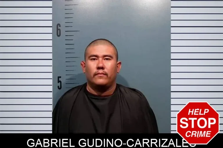 Gabriel Gudino-Carrizales