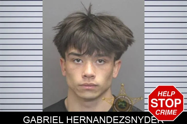 Gabriel HernandezSnyder