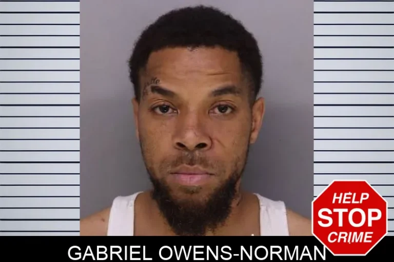 Gabriel Owens-Norman