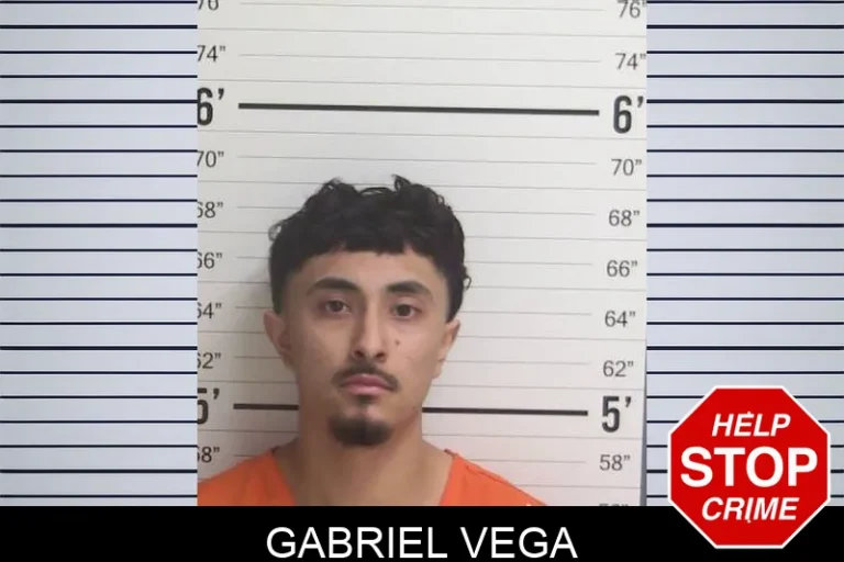 Gabriel Vega