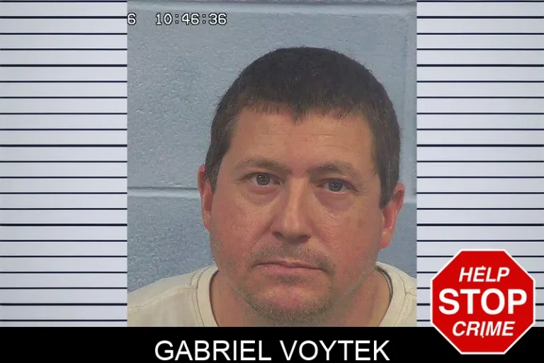 Gabriel Voytek