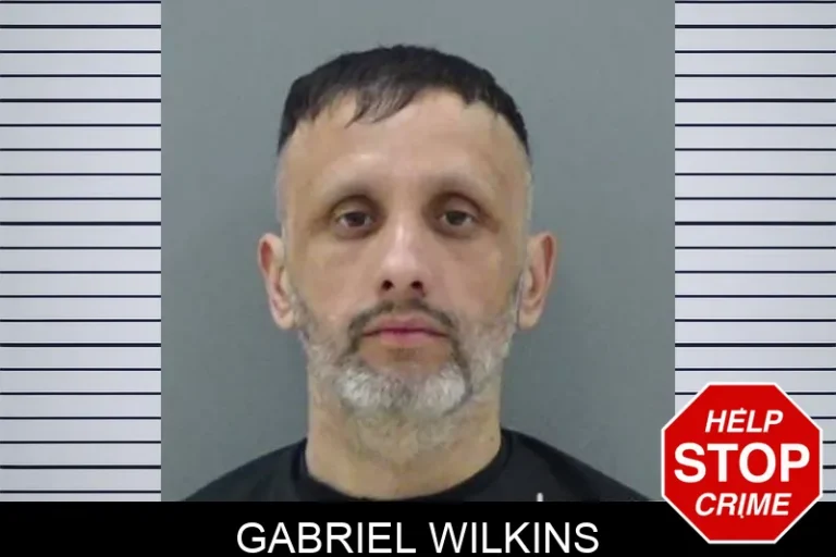 Gabriel Wilkins