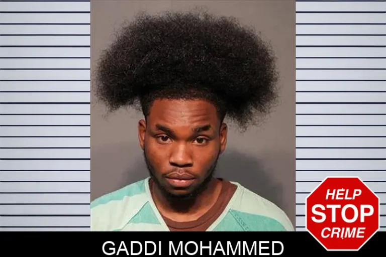 Gaddi Mohammed
