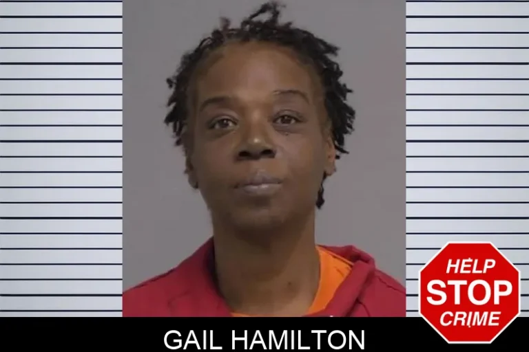 Gail Hamilton