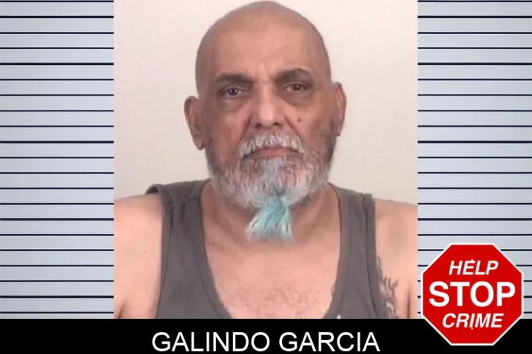 Galindo Garcia