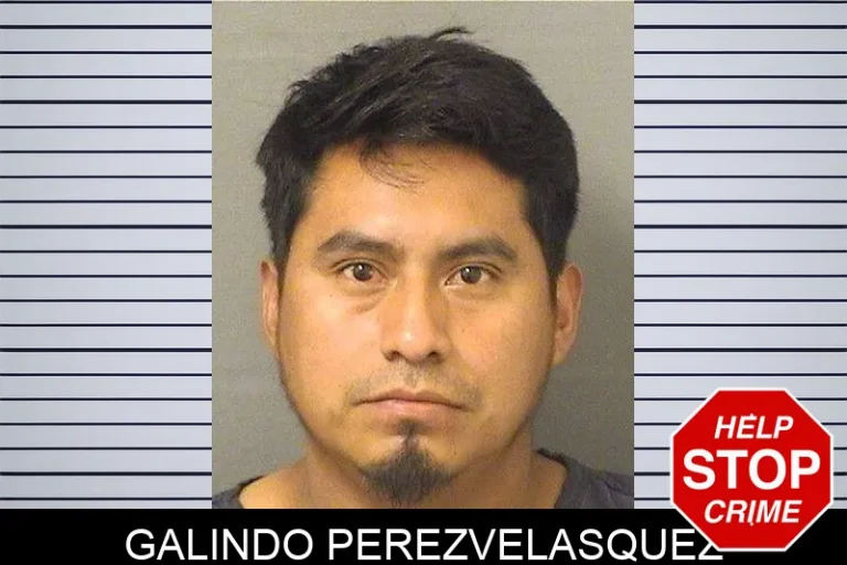 Galindo Perezvelasquez