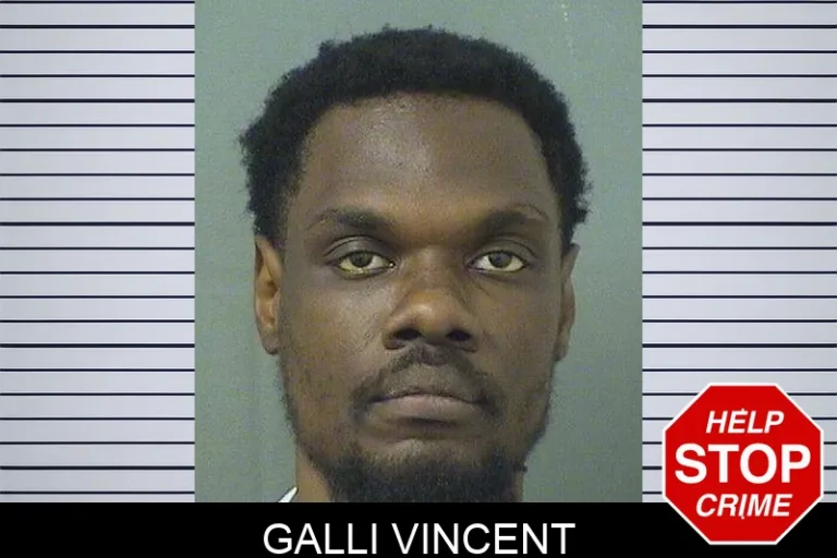 Galli Vincent