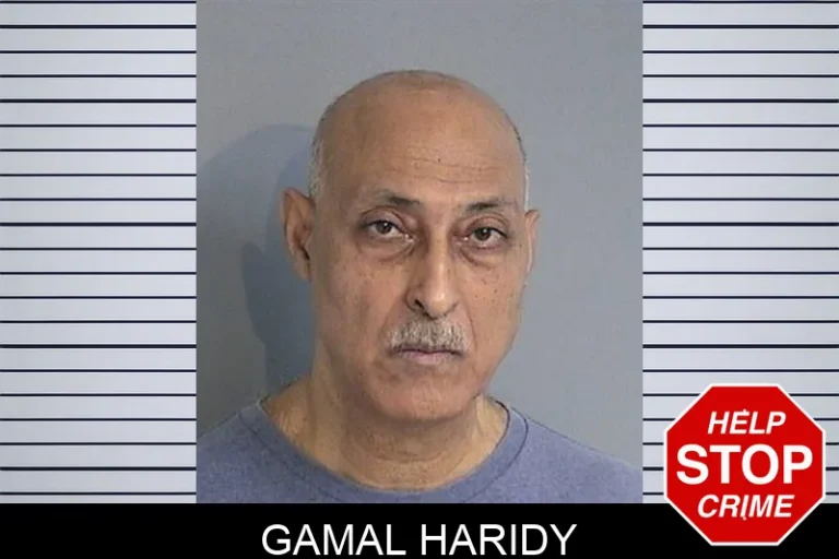 Gamal Haridy