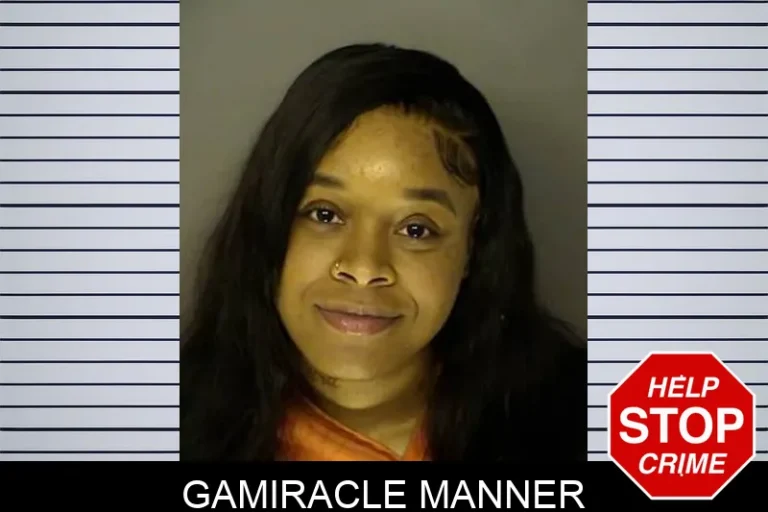 Gamiracle Manner