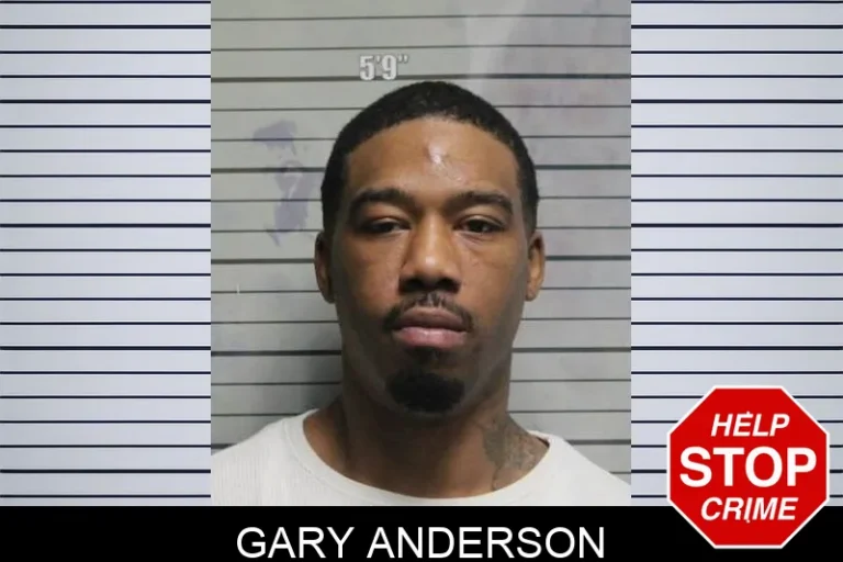 Gary Anderson