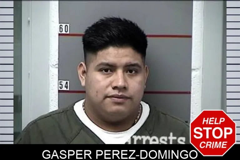 Gasper Perez-Domingo