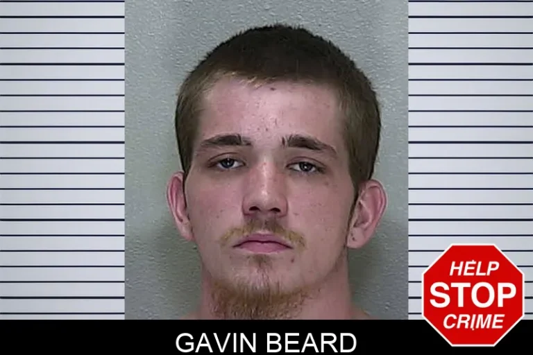 Gavin Beard