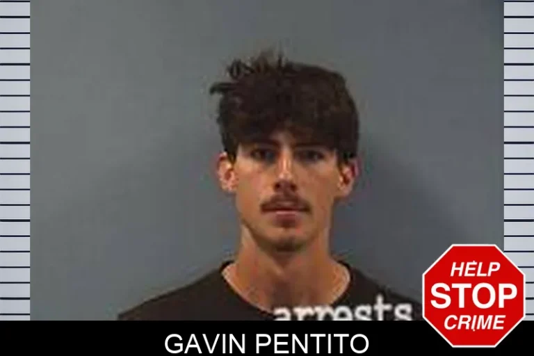 Gavin Pentito