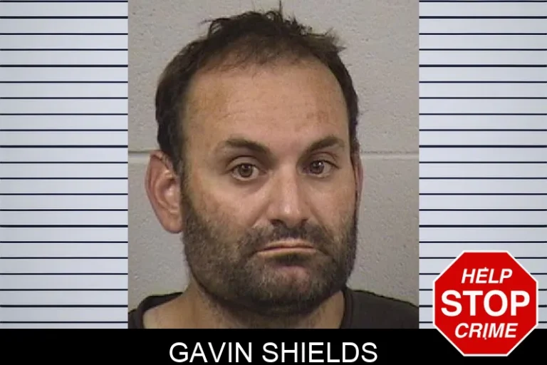 Gavin Shields