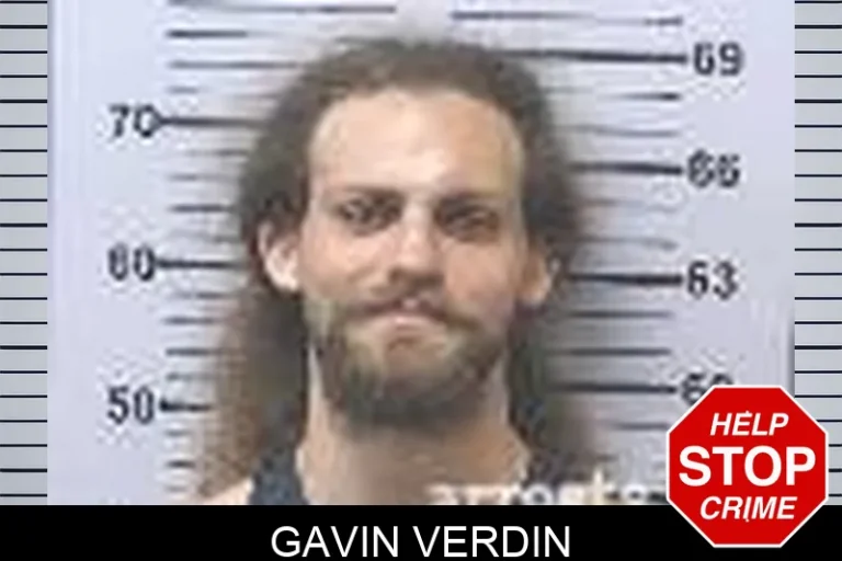 Gavin Verdin