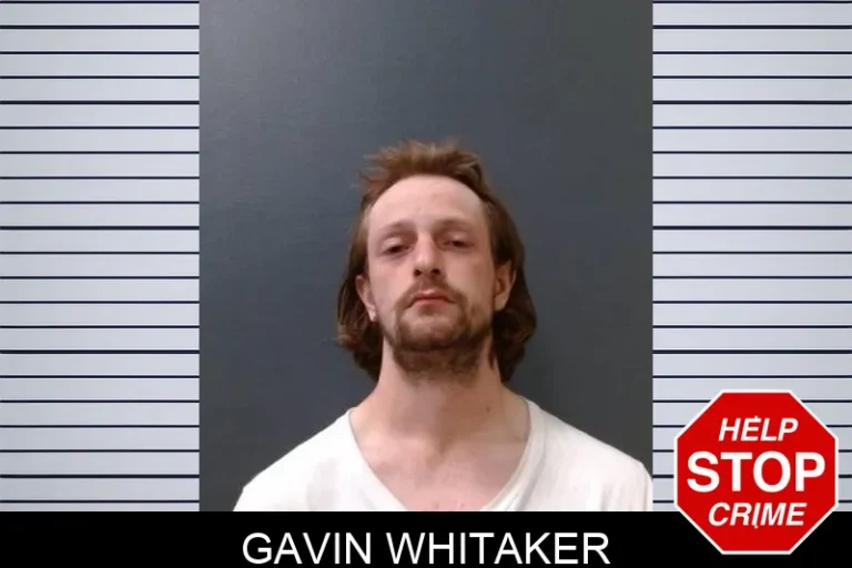 Gavin Whitaker