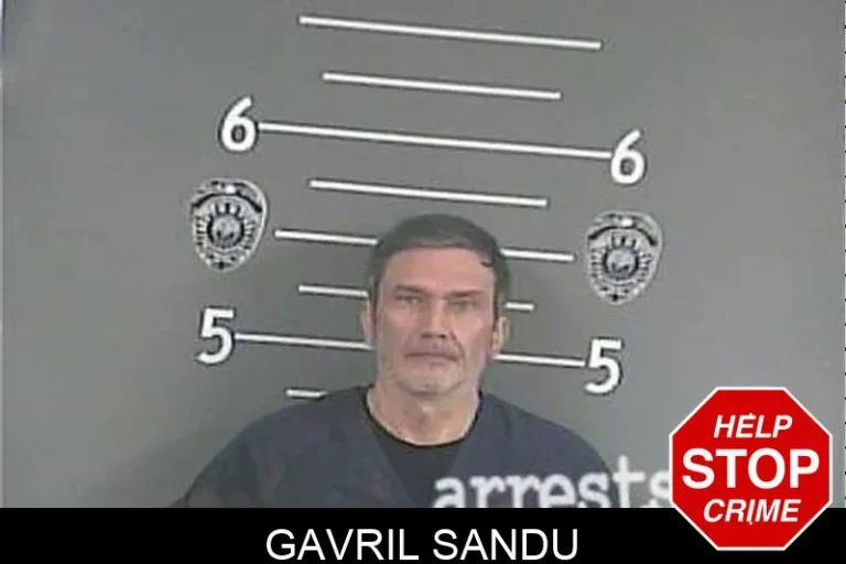 Gavril Sandu