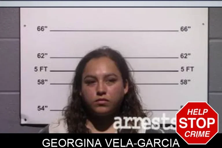 Georgina Vela-Garcia