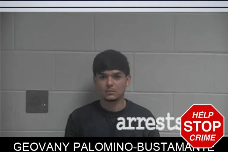 Geovany Palomino-Bustamante