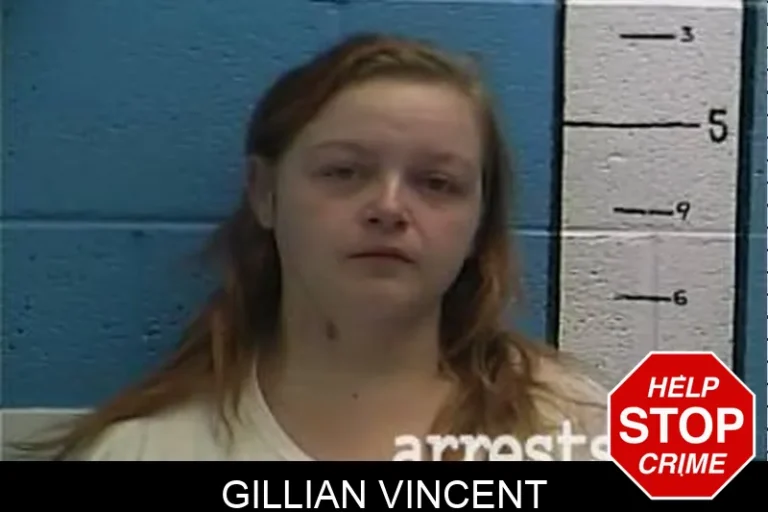 Gillian Vincent