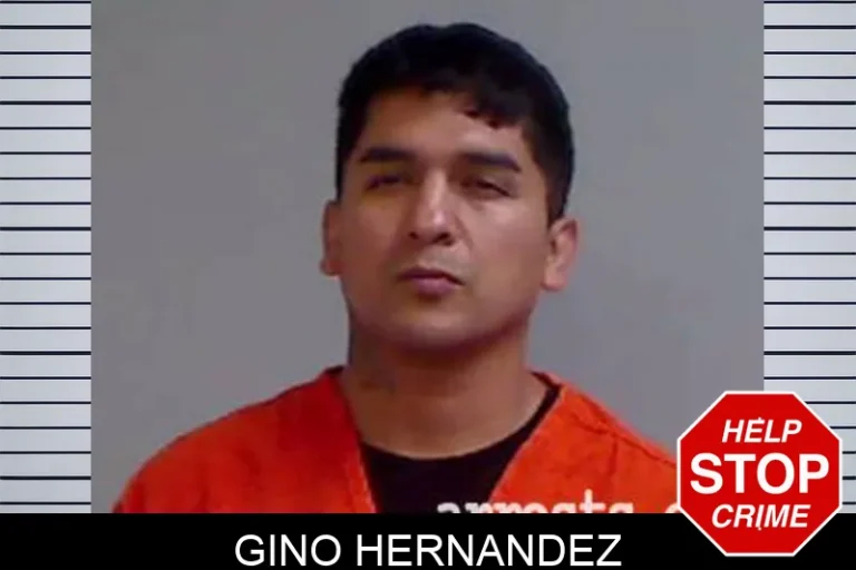 Gino Hernandez
