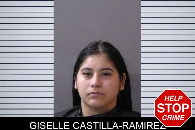 Giselle Castilla-Ramirez