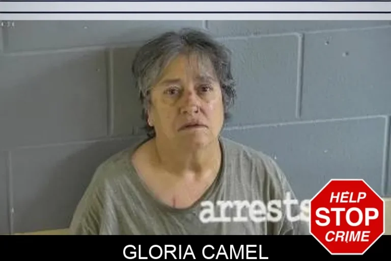 Gloria Camel