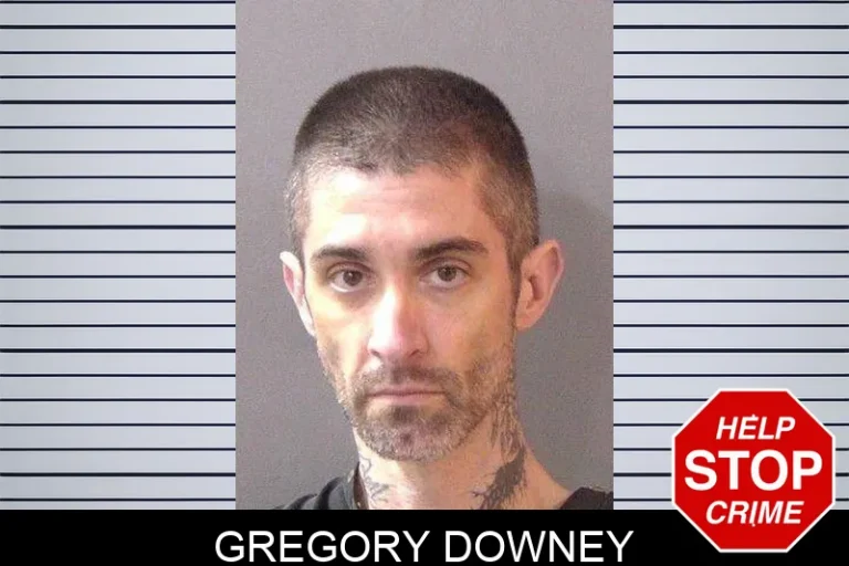 Gregory Downey