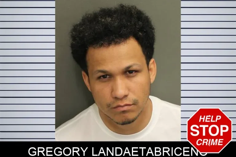 Gregory Landaetabriceno