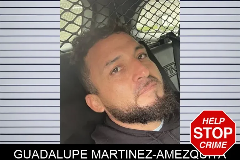 Guadalupe Martinez-Amezquita