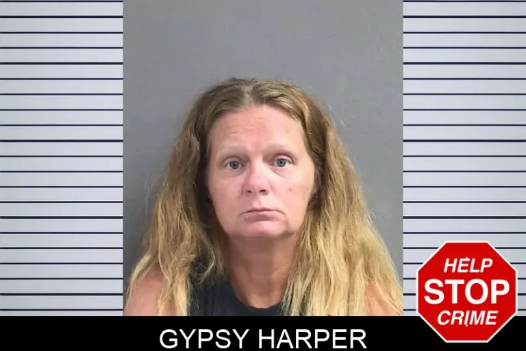 Gypsy Harper