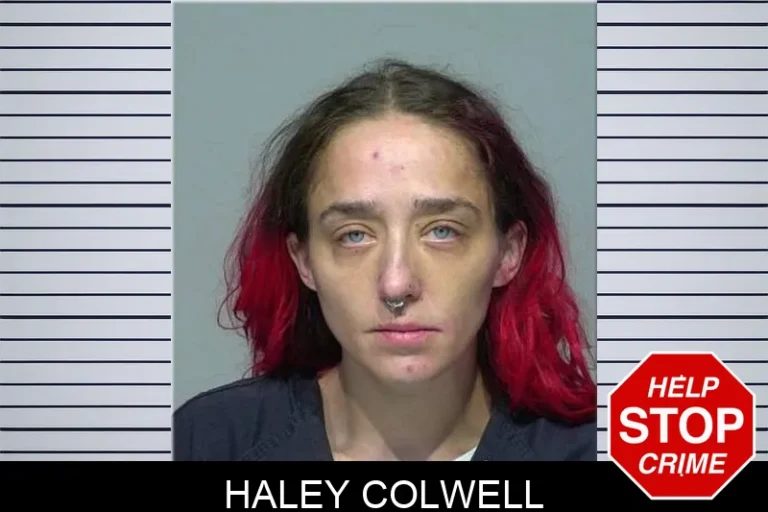Haley Colwell