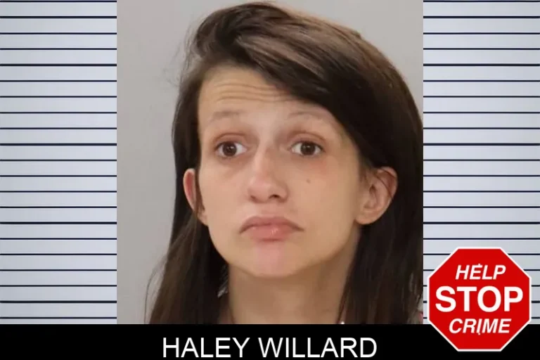 Haley Willard