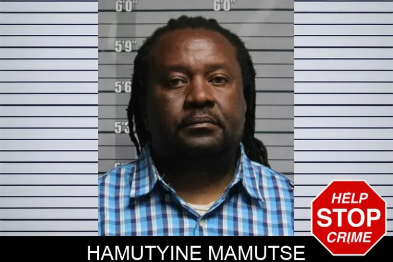 Hamutyine Mamutse