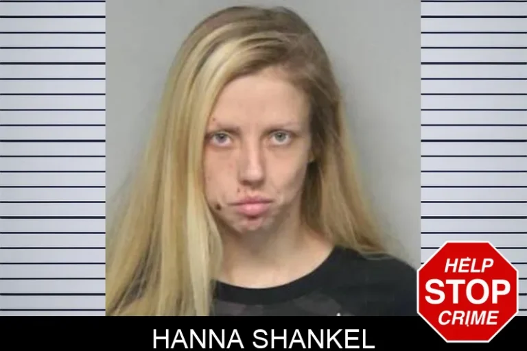 Hanna Shankel