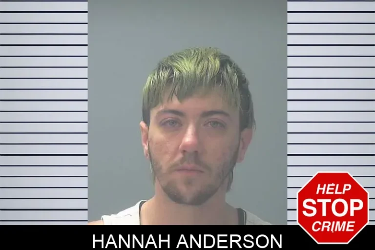 Hannah Anderson