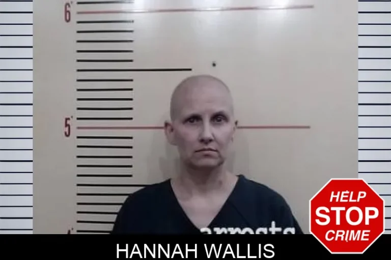 Hannah Wallis