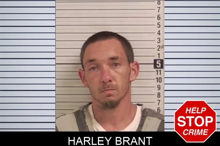 Harley Brant