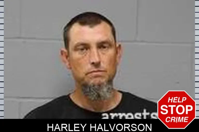 Harley Halvorson