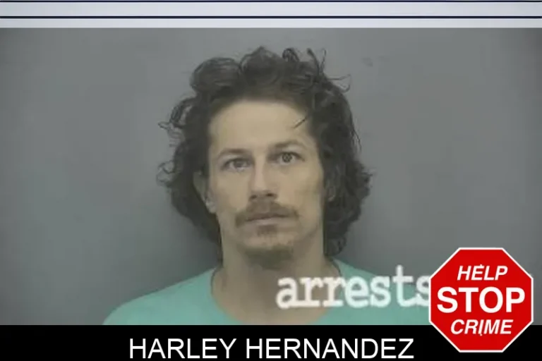 Harley Hernandez