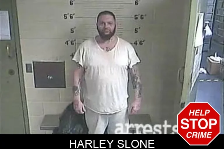 Harley Slone