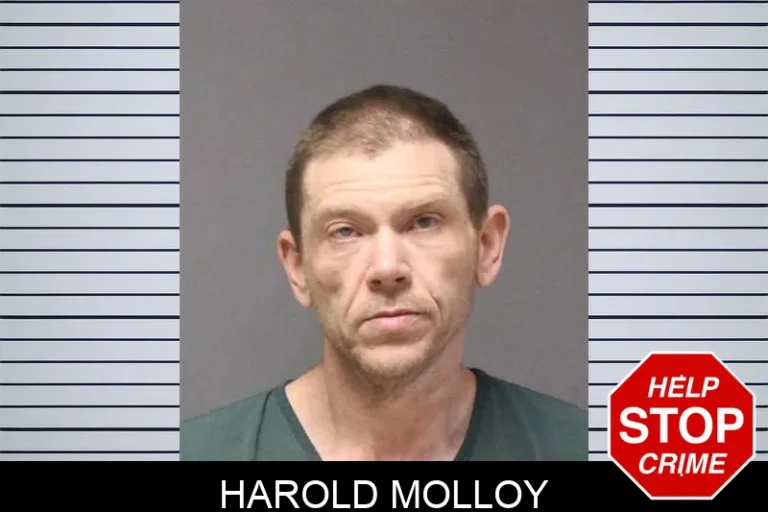 Harold Molloy