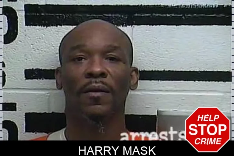Harry Mask