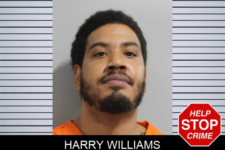 Harry Williams