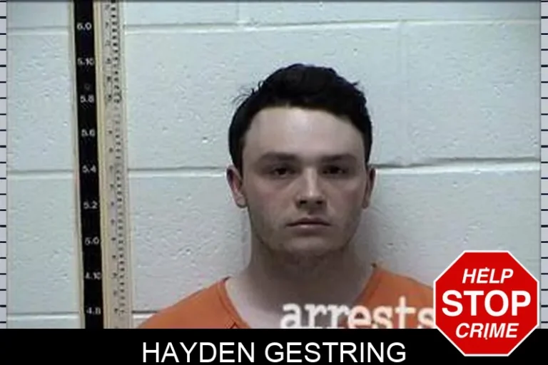 Hayden Gestring