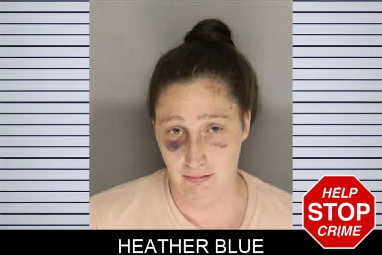 Heather Blue